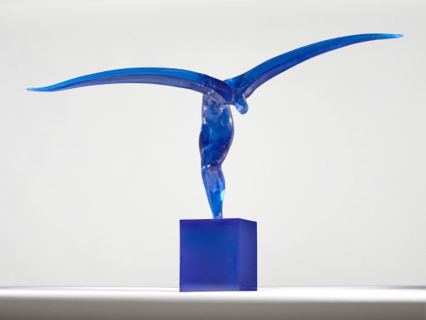 L'Envol bleu