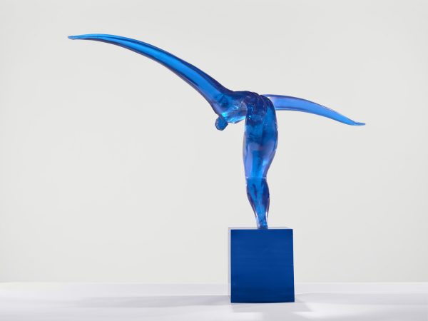 L'Envol bleu