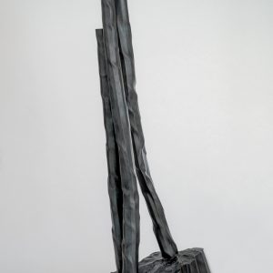 A fleur de roche 018.1120