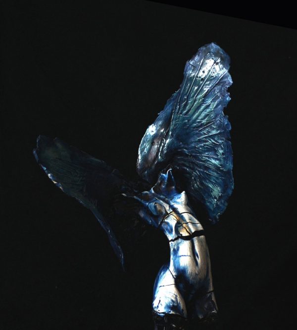 Female blue angel