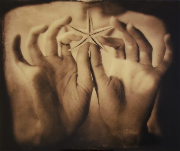 Palm Prayer Seastar