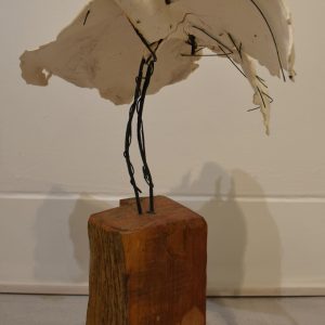 Middle white bird #2