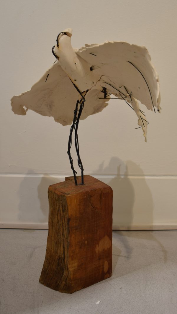Middle white bird #2