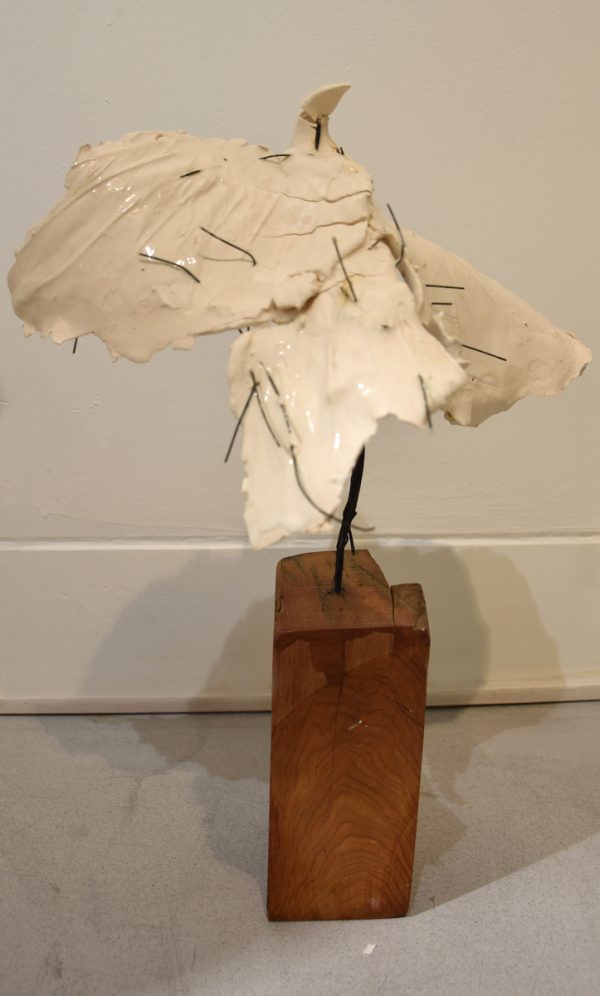 Middle white bird #2