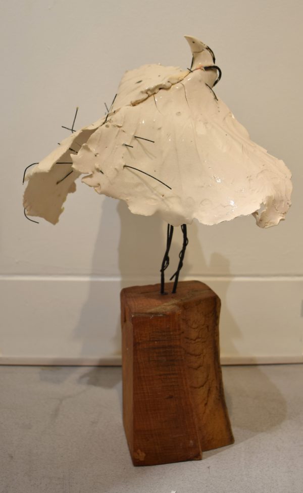 Middle white bird #2