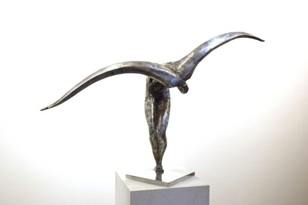 L'envol