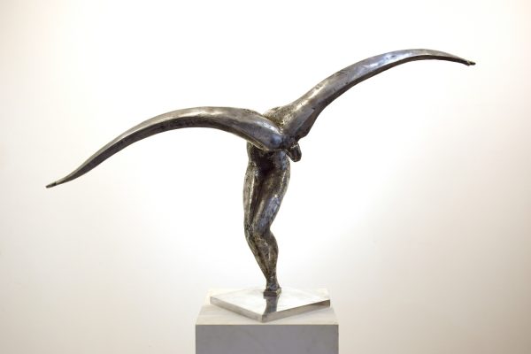 L'envol