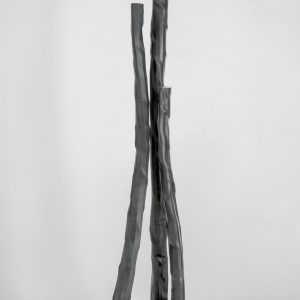 A fleur de roche 019.118