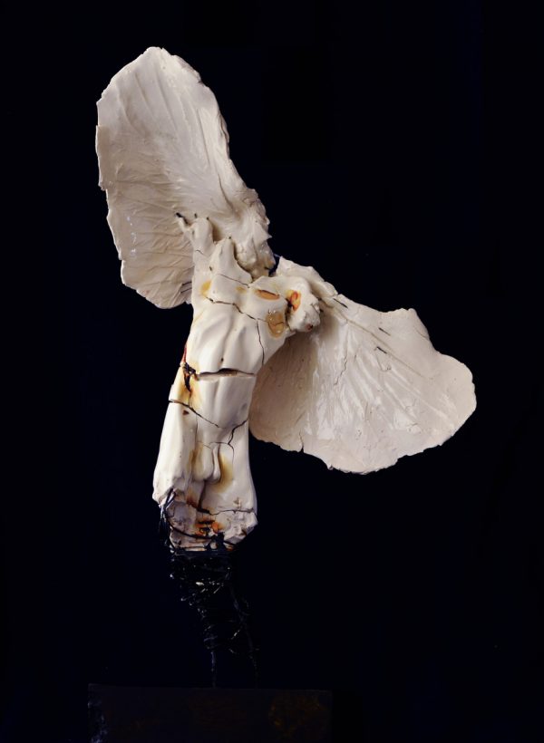 Angel #1