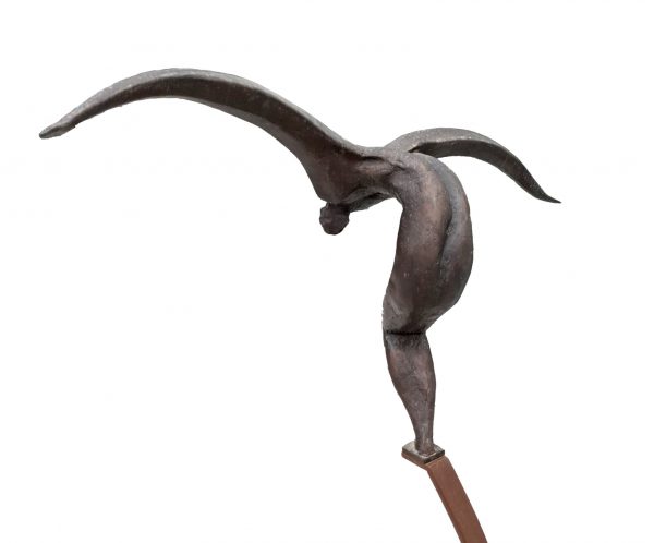 L'envol