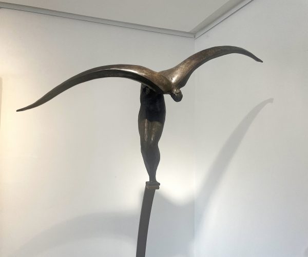 L'envol