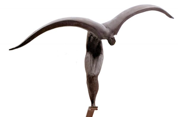 L'envol