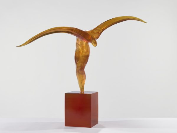 L'envol ambre