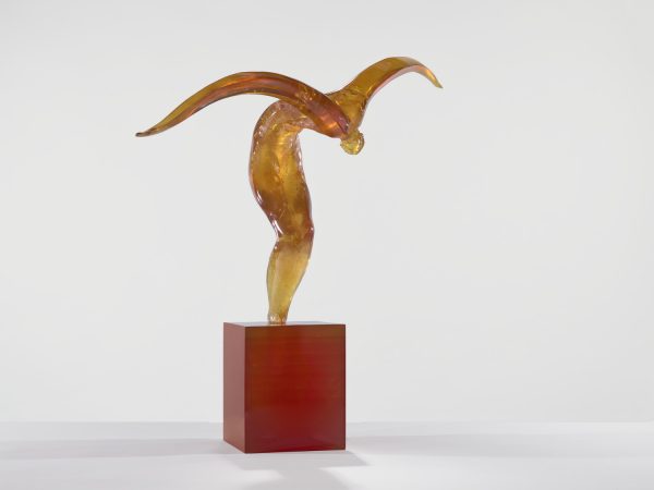 L'envol ambre