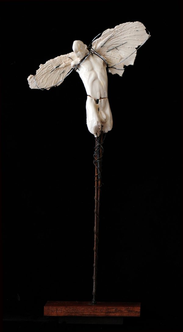 Male Angel