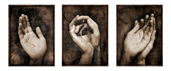 Palm Prayers #1, #2 et #3