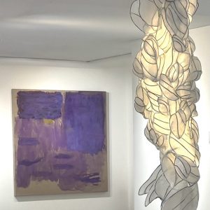 Shining in the night sky